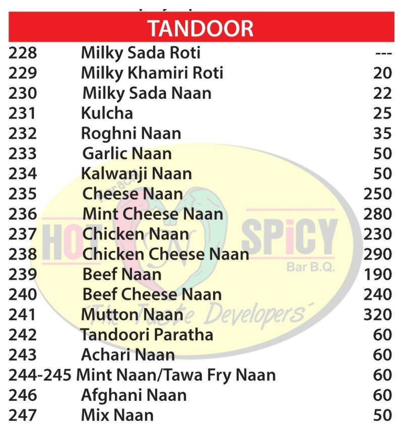 Karachi Hot and Spicy BBQ menu page 12
